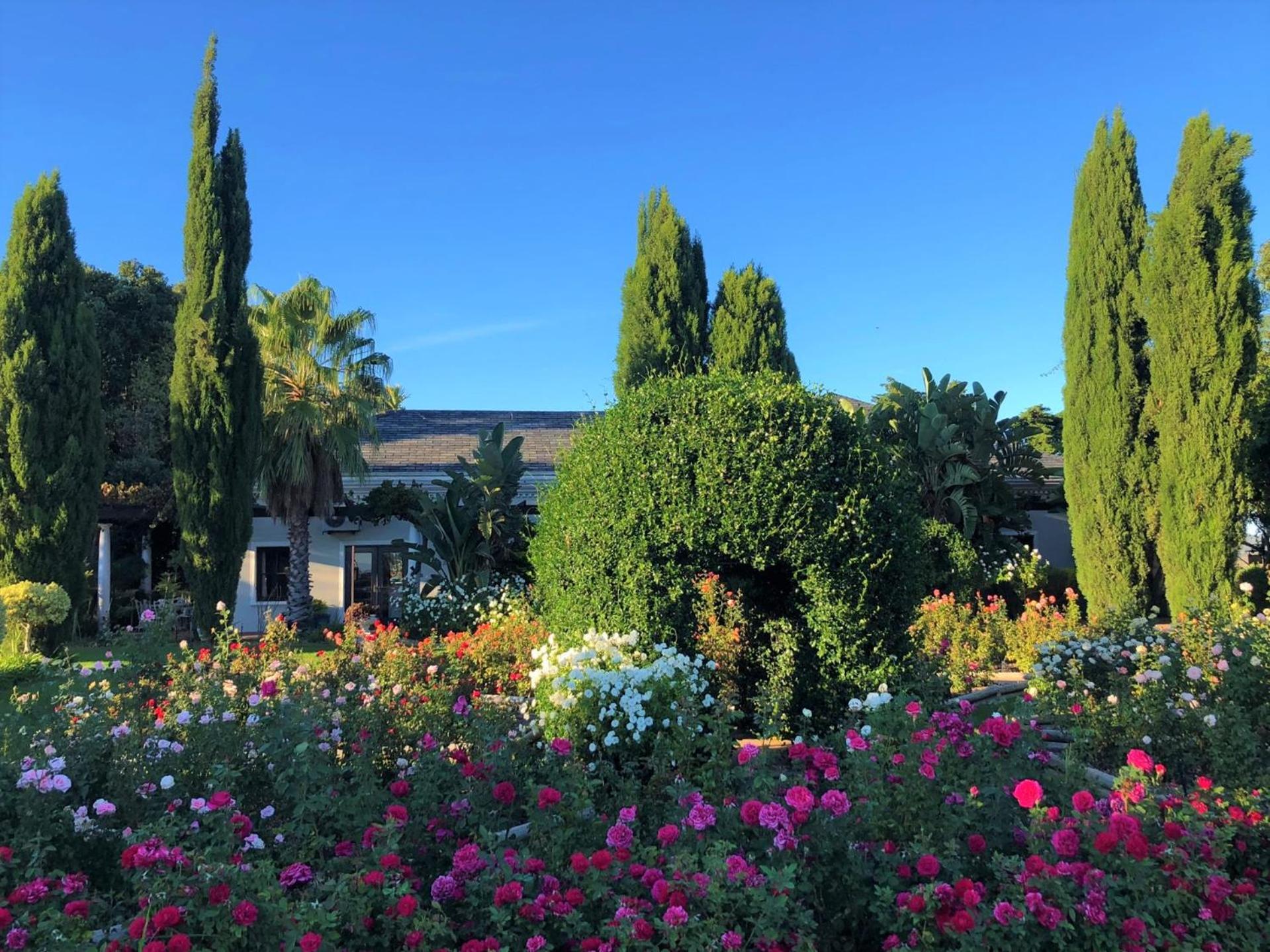 Bakenhof Winelands Lodge Парл Екстериор снимка
