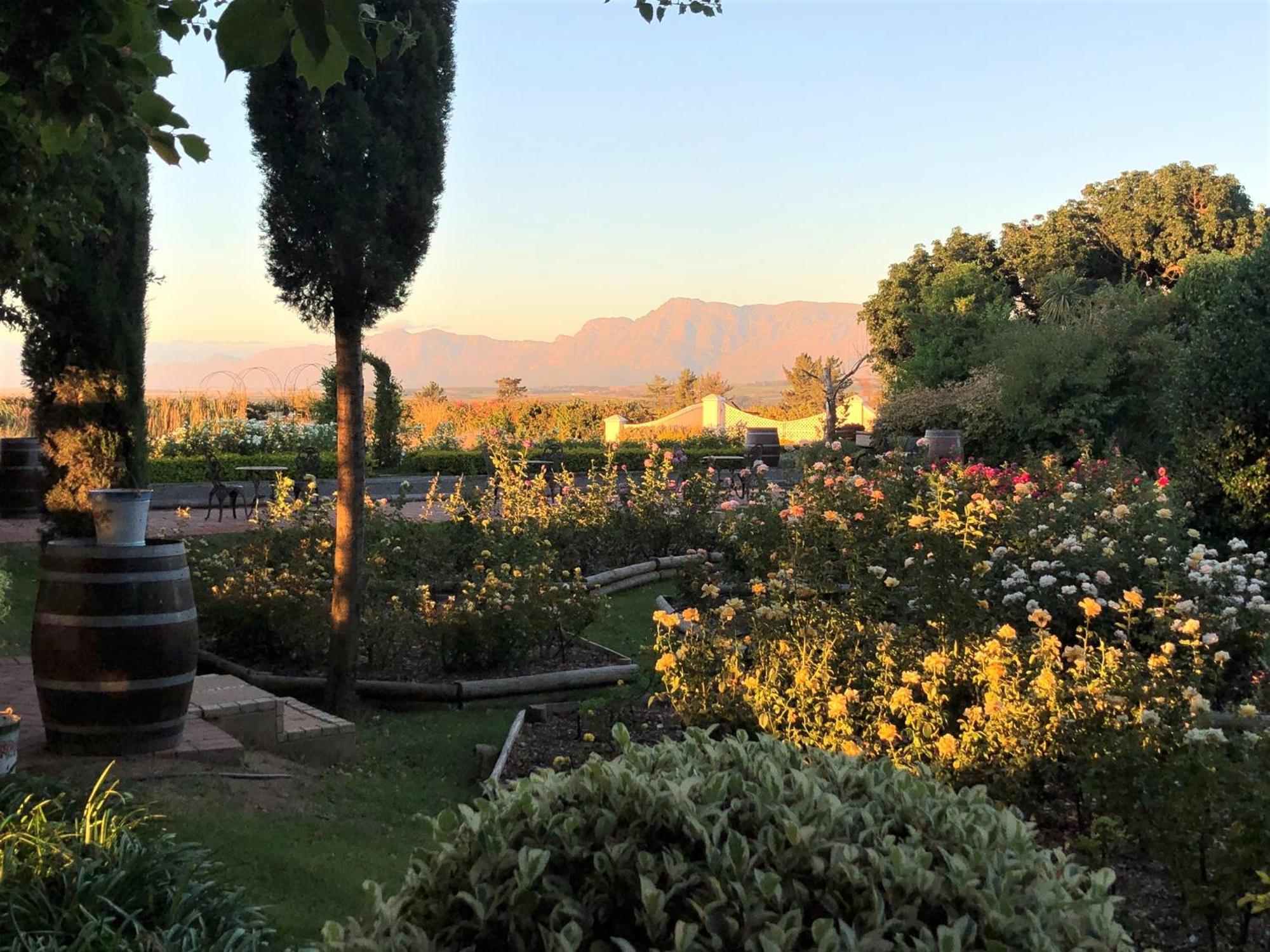 Bakenhof Winelands Lodge Парл Екстериор снимка